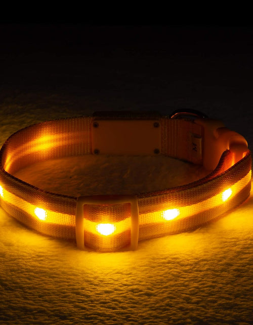 Load image into Gallery viewer, ' Safety LED Dog Collar – USB Rechargeable with Water Resistant Flashing Light