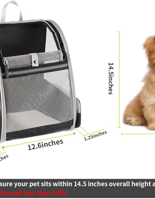 Load image into Gallery viewer, Pet Backpack Carrier for Small Cats Dogs | Ventilated Design, Safety Straps, Buckle Support, Collapsible | Designed for Travel, Hiking, Walking & Outdoor Use