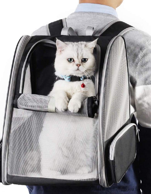 Load image into Gallery viewer, Pet Backpack Carrier for Small Cats Dogs | Ventilated Design, Safety Straps, Buckle Support, Collapsible | Designed for Travel, Hiking, Walking & Outdoor Use