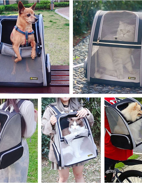 Load image into Gallery viewer, Pet Backpack Carrier for Small Cats Dogs | Ventilated Design, Safety Straps, Buckle Support, Collapsible | Designed for Travel, Hiking, Walking & Outdoor Use