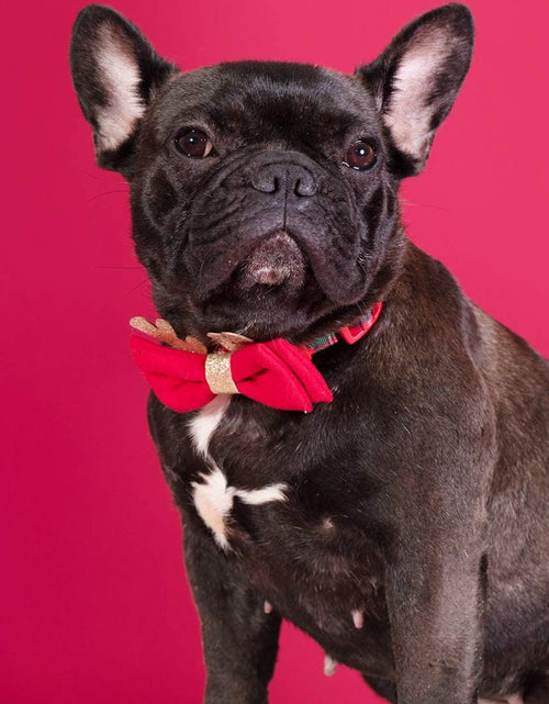 Load image into Gallery viewer, Valentines Dog Collar with Bowtie Pink Hearts Dog Collar Adjustable Size Suitable for Small Medium Large Dogs