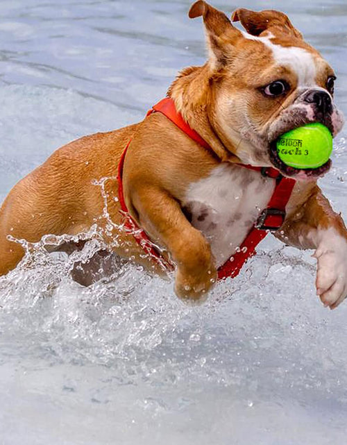 Load image into Gallery viewer, Pressure Training Tennis Balls-12 or 18 Count-Mesh Carry Bagļ¼4 Colors Availableļ¼Pressureless Training Exercise Tennis Balls for Beginners.