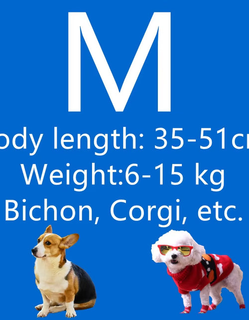 Load image into Gallery viewer, Portable Pet Drying Bag Folding Dog Hair Dryer Box Blow Bag Pet Grooming Dry Bag Dog Blowing Cat Bathing Pet Hair Drying Clothes