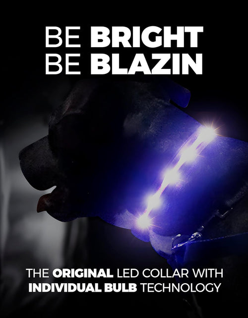 Load image into Gallery viewer, ' Safety LED Dog Collar – USB Rechargeable with Water Resistant Flashing Light