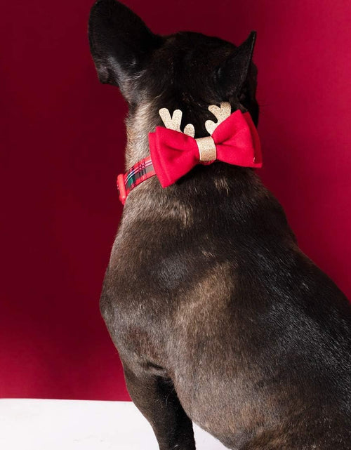 Load image into Gallery viewer, Valentines Dog Collar with Bowtie Pink Hearts Dog Collar Adjustable Size Suitable for Small Medium Large Dogs