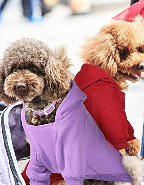 Load image into Gallery viewer, 4 Pieces Small Dog Sweaters Dog Hoodie Clothes with Hat for Small Dogs Boy Chihuahua Clothes with Pocket Puppy Pet Winter Clothes Warm Hoodies Coat Sweater Shirt (XXS)