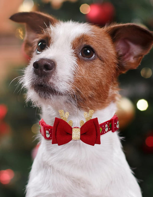 Load image into Gallery viewer, Dog Collar with Removable Bowtie Dog Collars Adjustable Dog Collar for Small Medium Large Dogs