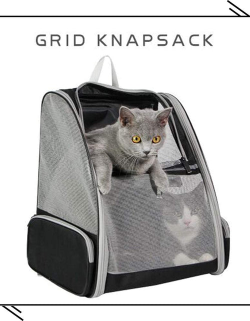 Load image into Gallery viewer, Pet Backpack Carrier for Small Cats Dogs | Ventilated Design, Safety Straps, Buckle Support, Collapsible | Designed for Travel, Hiking, Walking & Outdoor Use