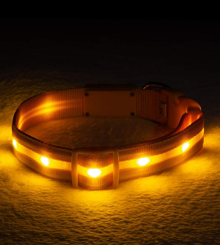 ' Safety LED Dog Collar – USB Rechargeable with Water Resistant Flashing Light